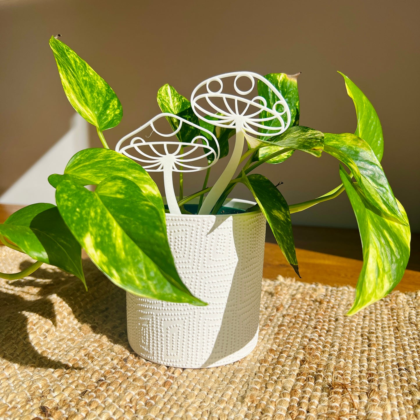 Hallucinogenic Collection