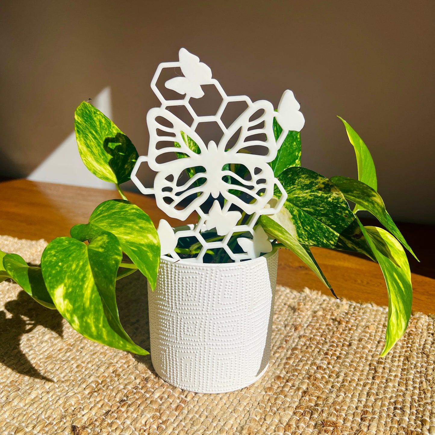 Gentle Wings Plant Trellis Collection