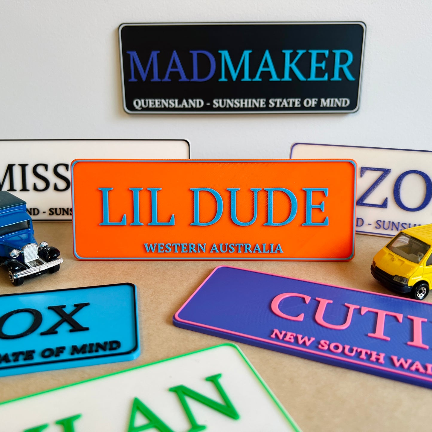 Personalized Novelty License Plate Perfect for Children Electric Cars or Wall and Door Decor